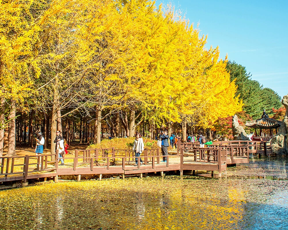 nami island