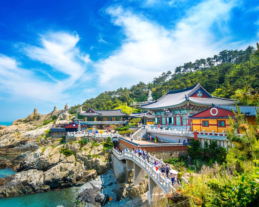 Busan Sightseeing