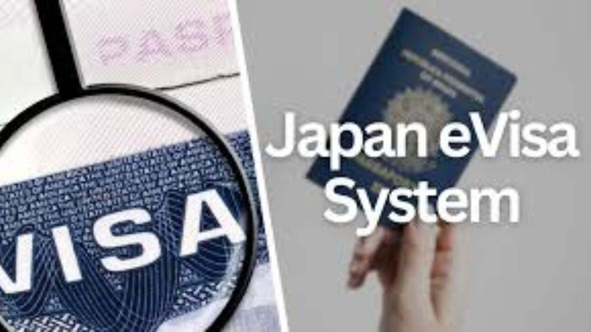 Japan eVisa Guide